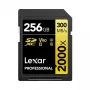 Muistikortti Lexar 256 GB SDXC Class 10 LSD2000256G-BNNNG