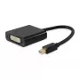 Mini DisplayPort - DVI-D Dual Link -sovitin Equip 133433