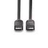 Lindy 1m DisplayPort 1.2 -kaapeli, Black Line