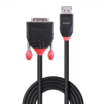 Lindy 2 m DisplayPort-DVI-D-kaapeli