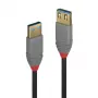 Lindy 1 m USB 3.2 Type-A -jatkokaapeli, 5 Gbit/s, Anthra Line