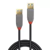 Lindy 1 m USB 3.2 Type-A -jatkokaapeli, 5 Gbit/s, Anthra Line