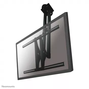 Neomounts PLASMA-C100Schwarz monitori-/TV-kattoteline 37-75