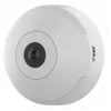 Axis M3067-P 01731-001 kupolimallinen verkkovalvontakamera, värillinen (päivä ja yö)