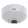 Axis M3067-P 01731-001 kupolimallinen verkkovalvontakamera, värillinen (päivä ja yö)