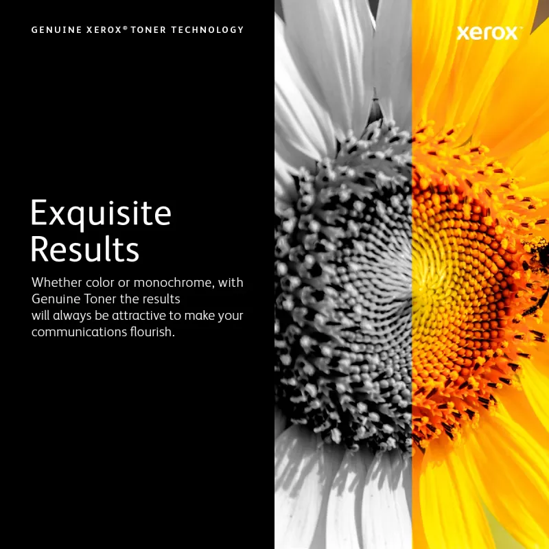 Xerox Original WorkCentre™ 3210/3220 värikasetti – 106R01486