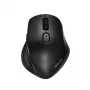 ASUS MW203 hiiri toimisto oikeakätinen RF langaton + Bluetooth optinen 2400 DPI