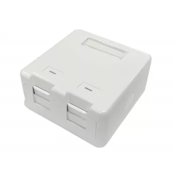 Lanview LVN127767 liitäntärasia 2 x RJ-45 valkoinen