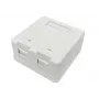 Lanview LVN127767 liitäntärasia 2 x RJ-45 valkoinen