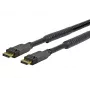 Vivolink PRODPAM10 DisplayPort-kaapeli 10 m musta