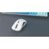 Glorious Gaming Glorious Model D Wireless - mattavalkoinen, oikeakätinen, RF Wireless, 19000 DPI, valkoinen