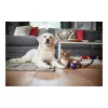 Philips PowerPro Expert pussiton pölynimuri FC9729/09