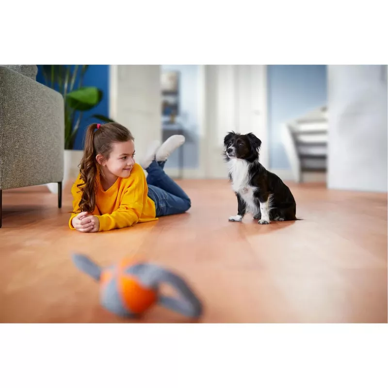 Philips PowerPro Expert pussiton pölynimuri FC9729/09