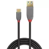 Lindy 0,15 m USB 3.2 Type-C - A -adapterikaapeli, 10 Gbit/s, Anthra Line