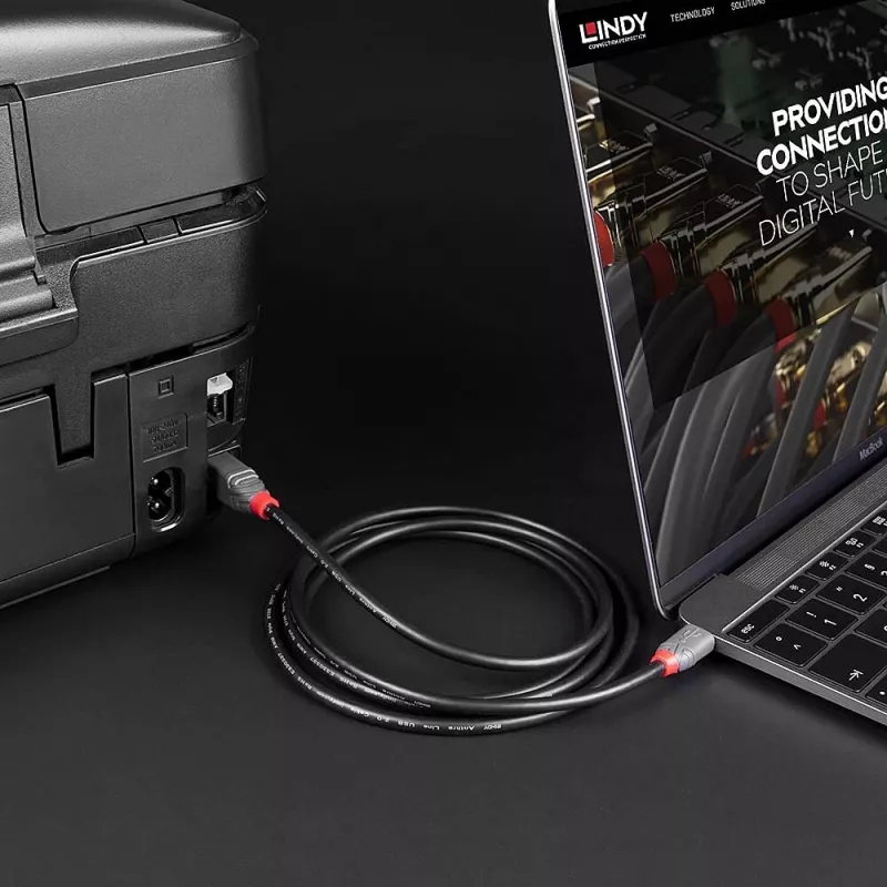 Lindy USB 2.0 Type-C–B-kaapeli, 1 m, Anthra Line