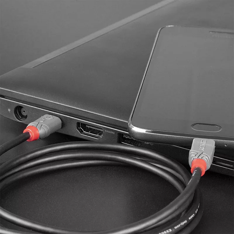 Lindy 3 m USB 2.0 Type-C–Micro-B-kaapeli, Anthra Line