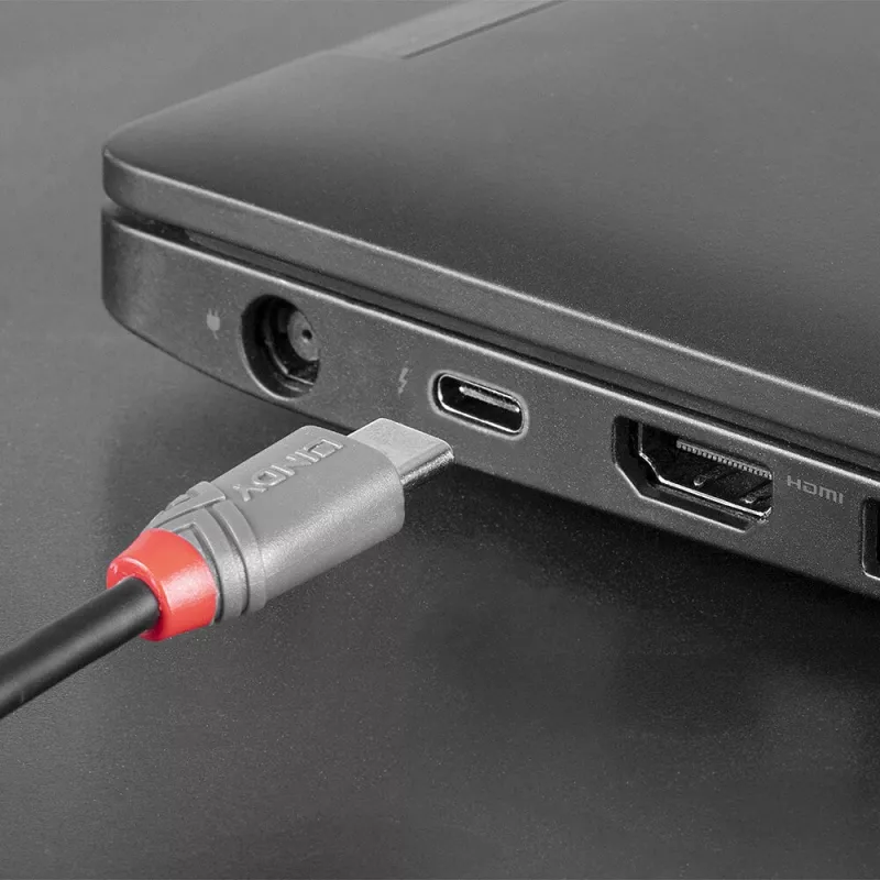 Lindy 3 m USB 2.0 Type-C–Micro-B-kaapeli, Anthra Line