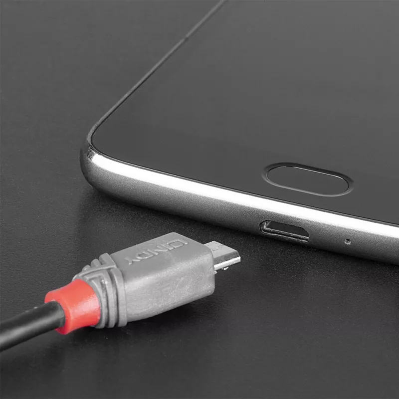 Lindy 1 m USB 2.0 Type-C–Micro-B-kaapeli, Anthra Line