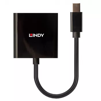 Lindy Mini DisplayPort - DVI aktiivimuunnin 0,16 m musta