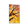 Sharp MultiSync M432 M-sarjan suurkokoinen näyttö 43 tuumaa (109,2 cm), 4K UHD 3840 x 2160, 550 cd/m², IPS, D-LED, 24/7, musta