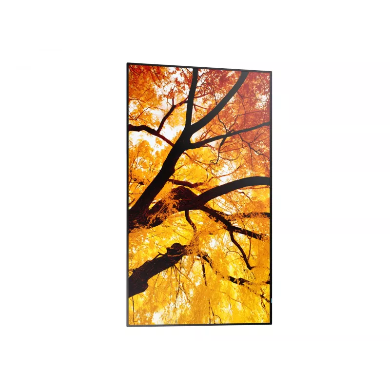 Sharp MultiSync M432 M-sarjan suurkokoinen näyttö 43 tuumaa (109,2 cm), 4K UHD 3840 x 2160, 550 cd/m², IPS, D-LED, 24/7, musta