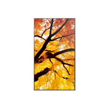 Sharp MultiSync M502 digitaalinen signage -näyttö 127 cm (50 tuuman) LCD 550 cd/m² 4K Ultra HD musta 24/7