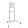 Vivolink VLFS3770 TV-seinäteline/jalusta 177,8 cm (70
