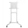 Vivolink VLFS3770 TV-seinäteline/jalusta 177,8 cm (70