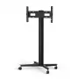 Monitorijalusta SMS Smart Media Solutions K12-025-EU-1 190,5 cm musta