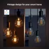 Älylamppu Philips ST64 Edison E27 Bluetooth/Zigbee, 7 W, läpinäkyvä, 60×135 mm