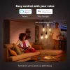 Älylamppu Philips ST64 Edison E27 Bluetooth/Zigbee, 7 W, läpinäkyvä, 60×135 mm