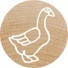 Pyöreä leima Colop 165225 kumi puu 3 cm halkaisija
