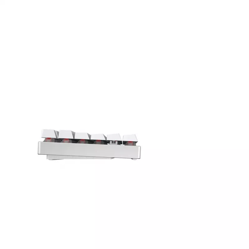 CHERRY MX 8.2 TKL Wireless RGB näppäimistö pelikäyttöön RF langaton + Bluetooth QWERTZ saksa valkoinen