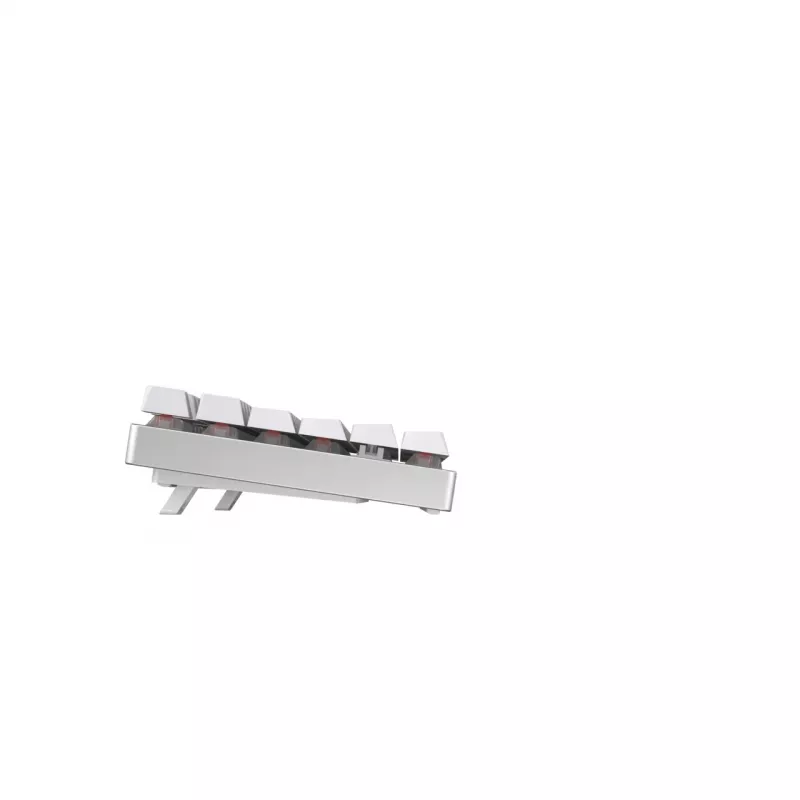 CHERRY MX 8.2 TKL Wireless RGB näppäimistö pelikäyttöön RF langaton + Bluetooth QWERTZ saksa valkoinen