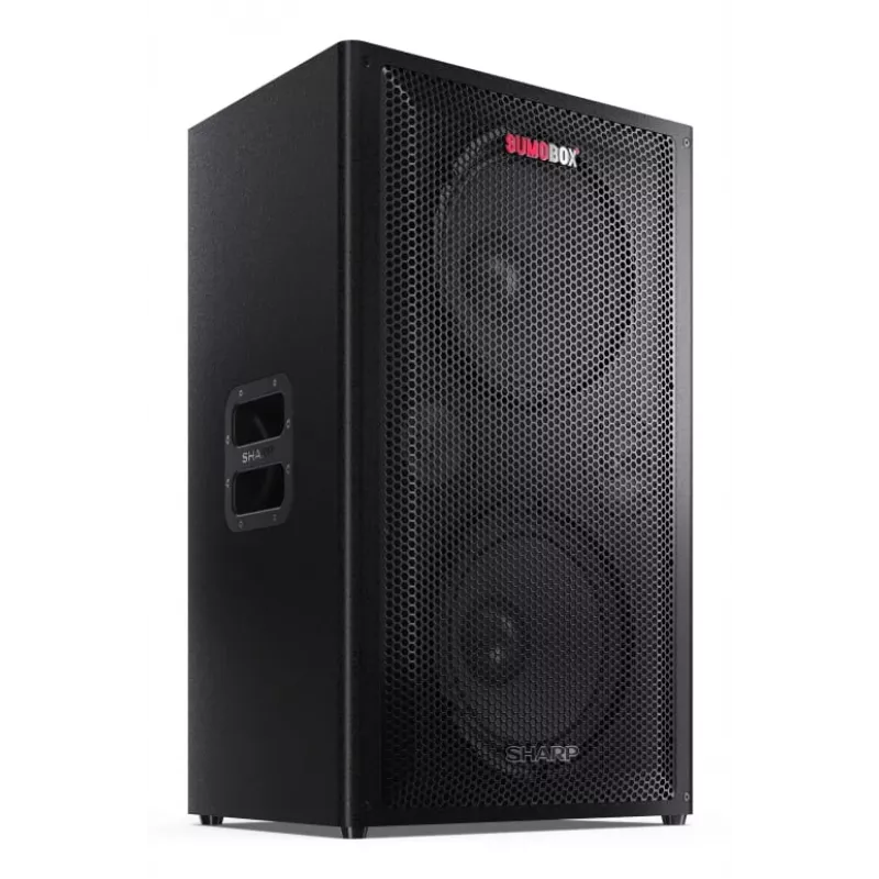Sharp CP-LS200 kannettava/juhlakaiutin musta 200 W