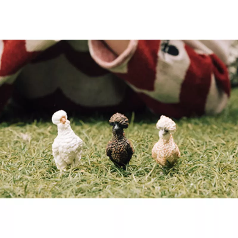 Leikkihahmot Schleich FARM WORLD Hühnerfreunde monivärinen 42574