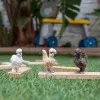 Leikkihahmot Schleich FARM WORLD Hühnerfreunde monivärinen 42574
