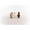 Leikkihahmot Schleich FARM WORLD Hühnerfreunde monivärinen 42574