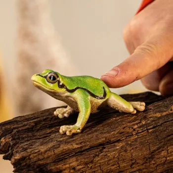schleich WILD LIFE eurooppalainen lehtisammakko, 3 vuosi/vuotta, metsä, villieläimet/seikkailulelut, monivärinen
