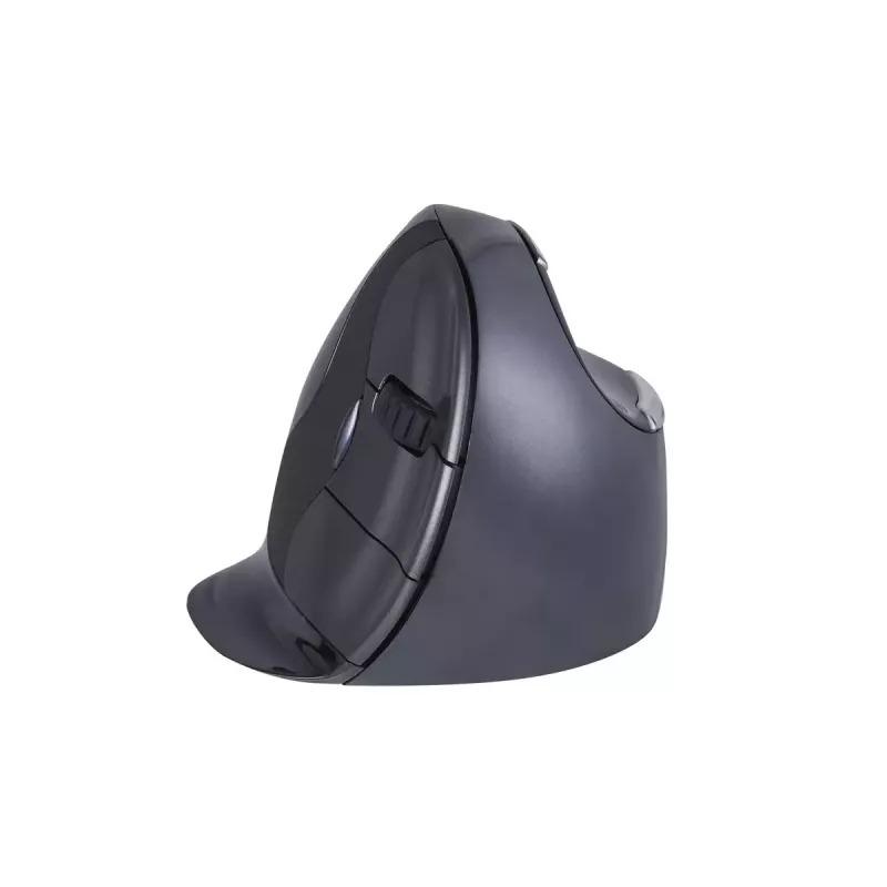 Hiiri BakkerElkhuizen Evoluent D RF Wireless