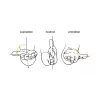 Hiiri BakkerElkhuizen Evoluent D RF Wireless