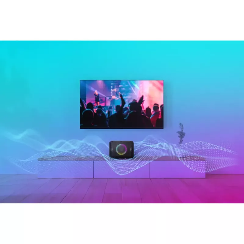 Kannettava stereokaiutin Panasonic SC-BMAX5E-K musta