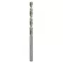 Kierreporanterä Bosch metalliporanterä HSS-G DIN 338 4 mm 2 kpl