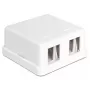 DeLOCK 86207 Keystone tyhjä pinta-asennusrasia, 2 porttia, valkoinen