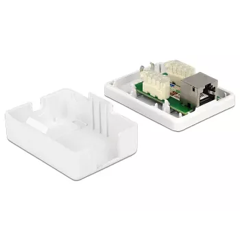 Verkkopistorasia RJ-45 DeLOCK 86169
