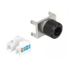 Keystone-moduuli RJ45-liitin LSA DeLOCK 87036