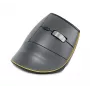 BakkerElkhuizen FastForward hiiri, oikeakätinen, pystysuunnittelu, optinen, RF Wireless + Bluetooth + USB Type-C, 500 DPI, harmaa