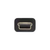 InLine USB 2.0 -lattakaapeli USB Type-A uros / Mini-B uros 5-napainen musta/kulta 2 m