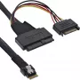 InLine ohut SAS-kaapeli, SFF-8654 - U.2 SFF-8639 + SATA-virta, 24 Gb/s, 1 m