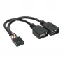 InLine USB 2.0 -adapterikaapeli sisäinen 2x USB Type-A -liitin / emolevyn header